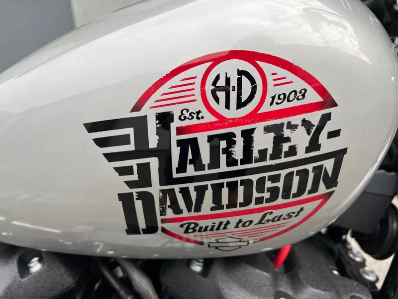 Harley-Davidson Street Bob 114 (2021 - 24) (7)