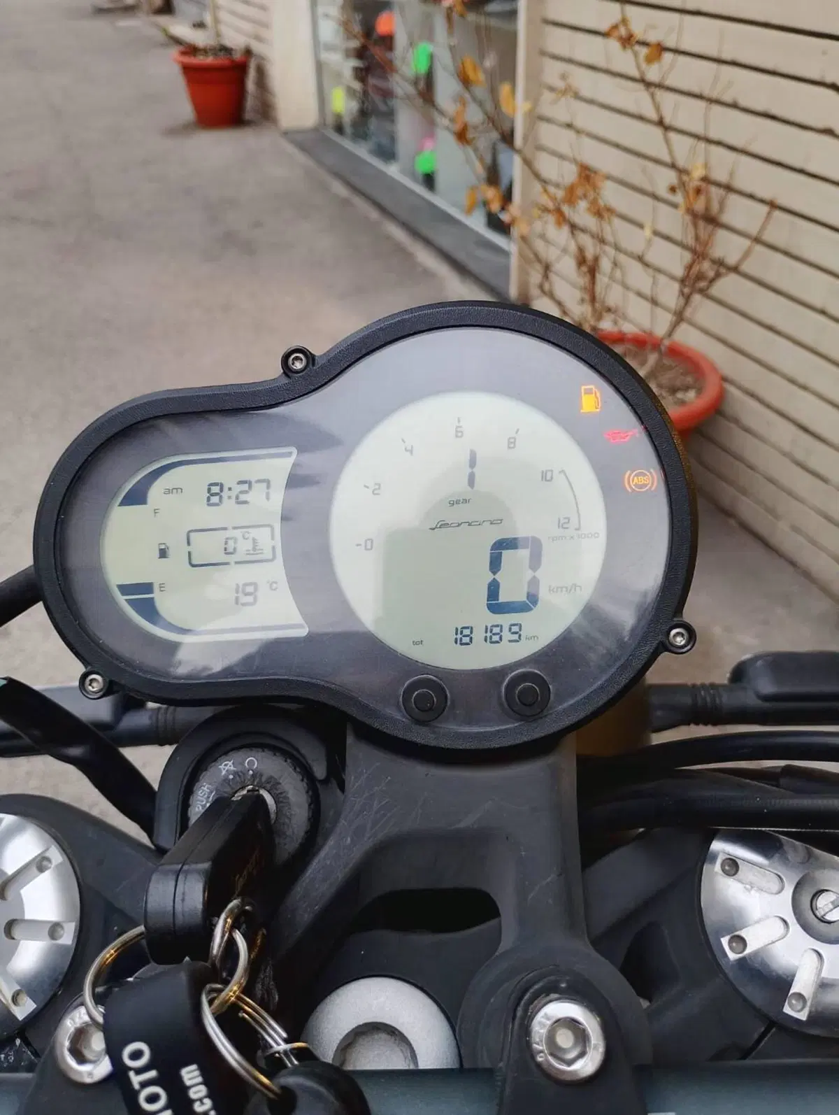 Benelli Leoncino 500 Trail (2021 - 26) (4)