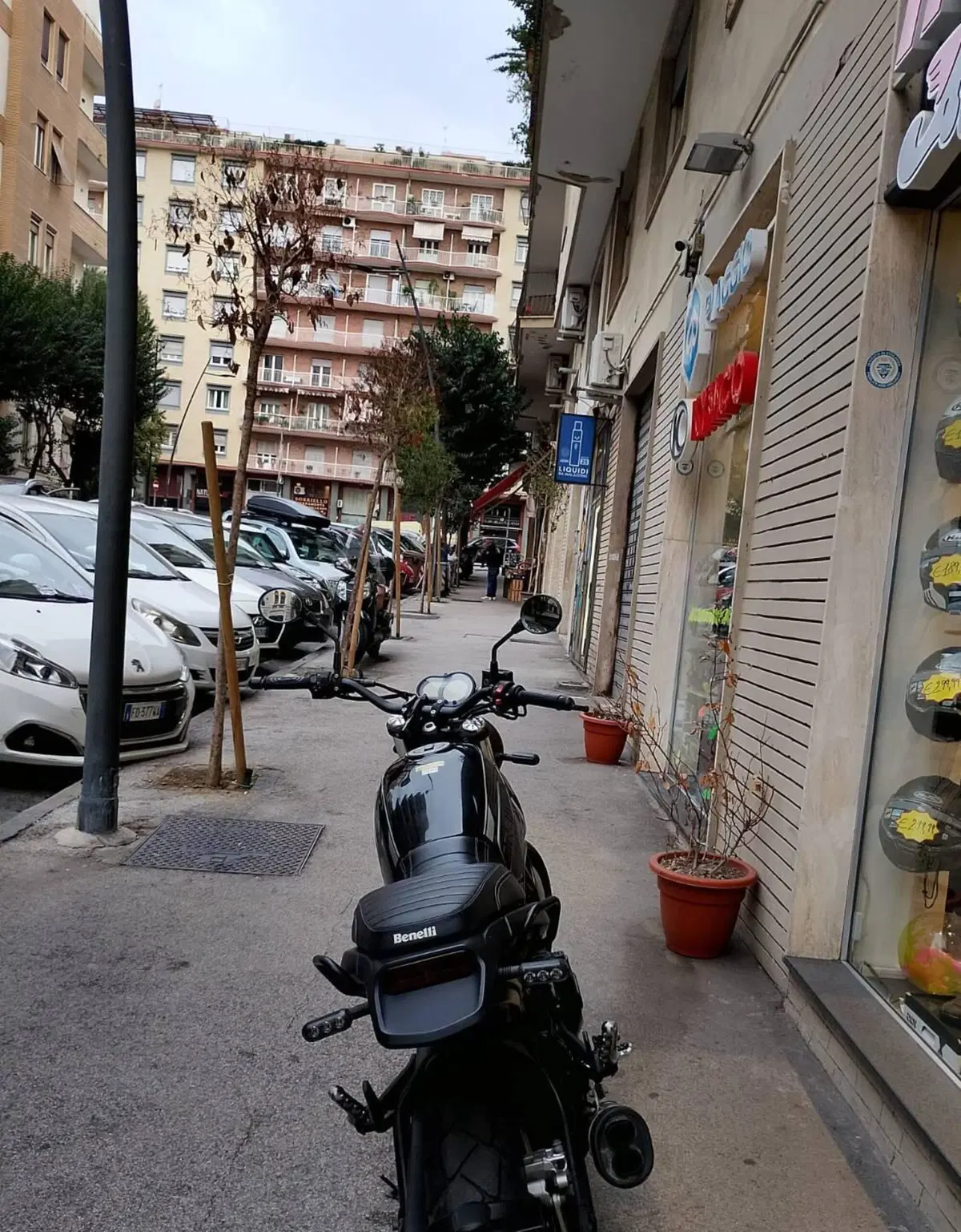 Benelli Leoncino 500 Trail (2021 - 26) (7)
