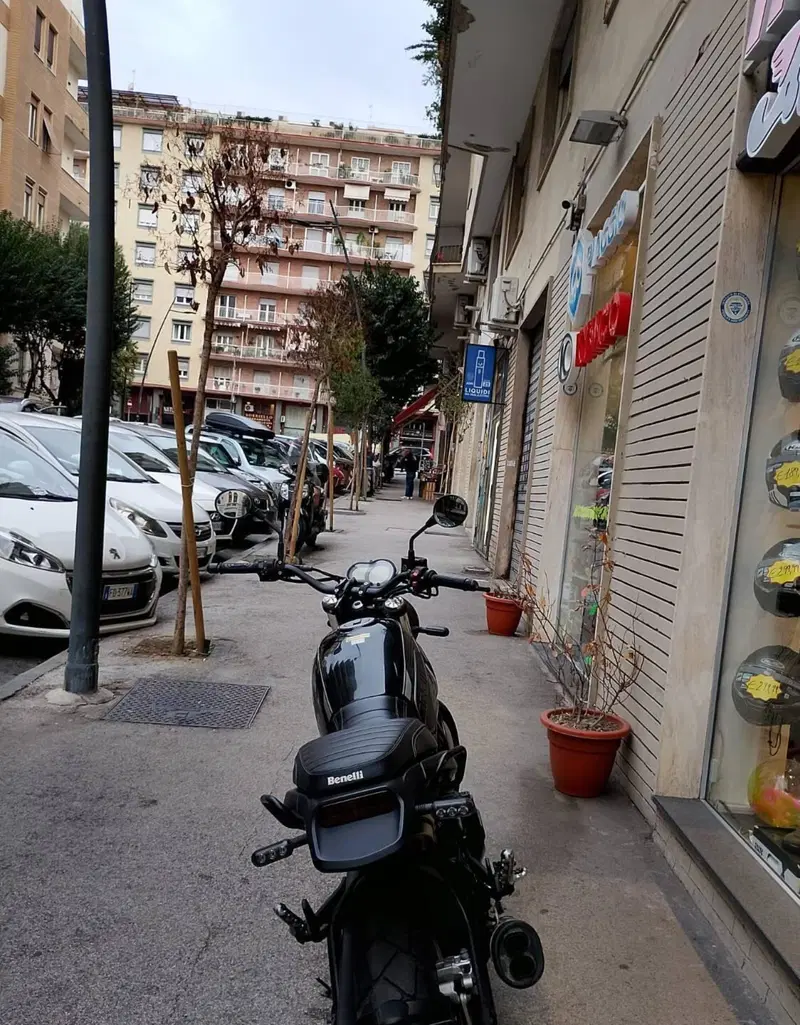 Benelli Leoncino 500 Trail (2021 - 26) (7)