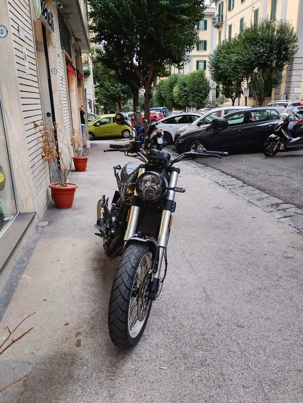 Benelli Leoncino 500 Trail (2021 - 26) (9)