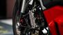 Ducati Streetfighter V2 (2022 - 24) (14)