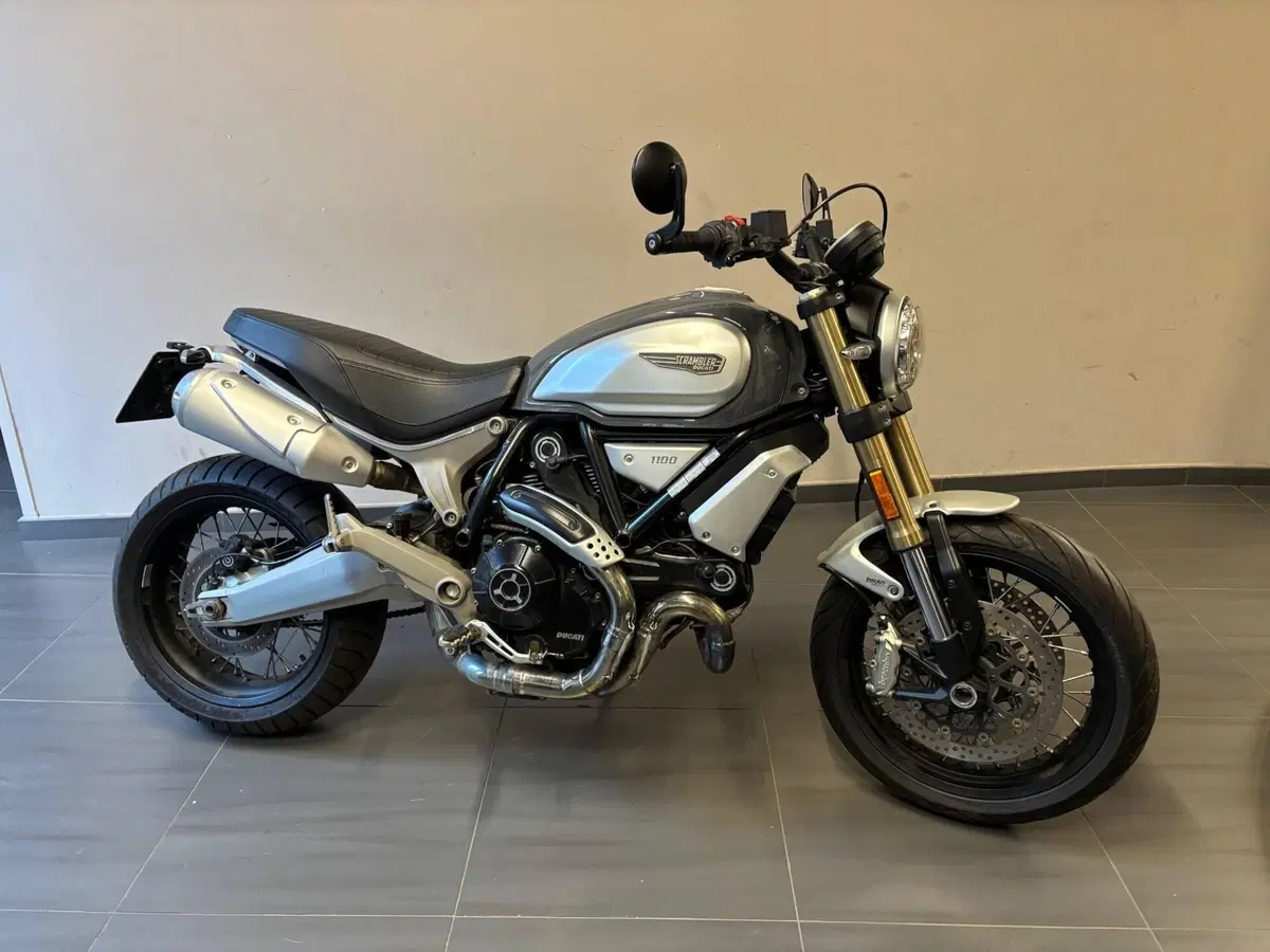 Ducati Scrambler 1100 Special (2018 - 20) (7)