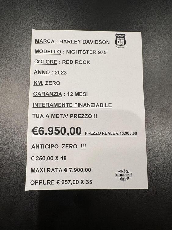 Harley-Davidson Nightster (2023 - 25) (3)