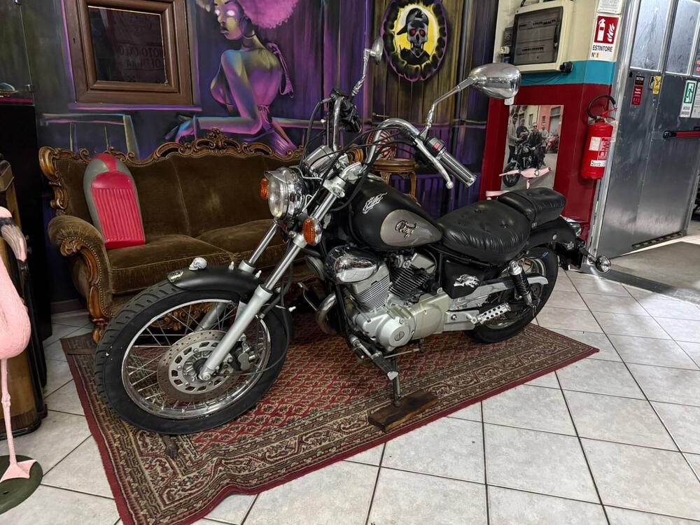 Yamaha XV 250 S Virago (1994 - 01) (3)