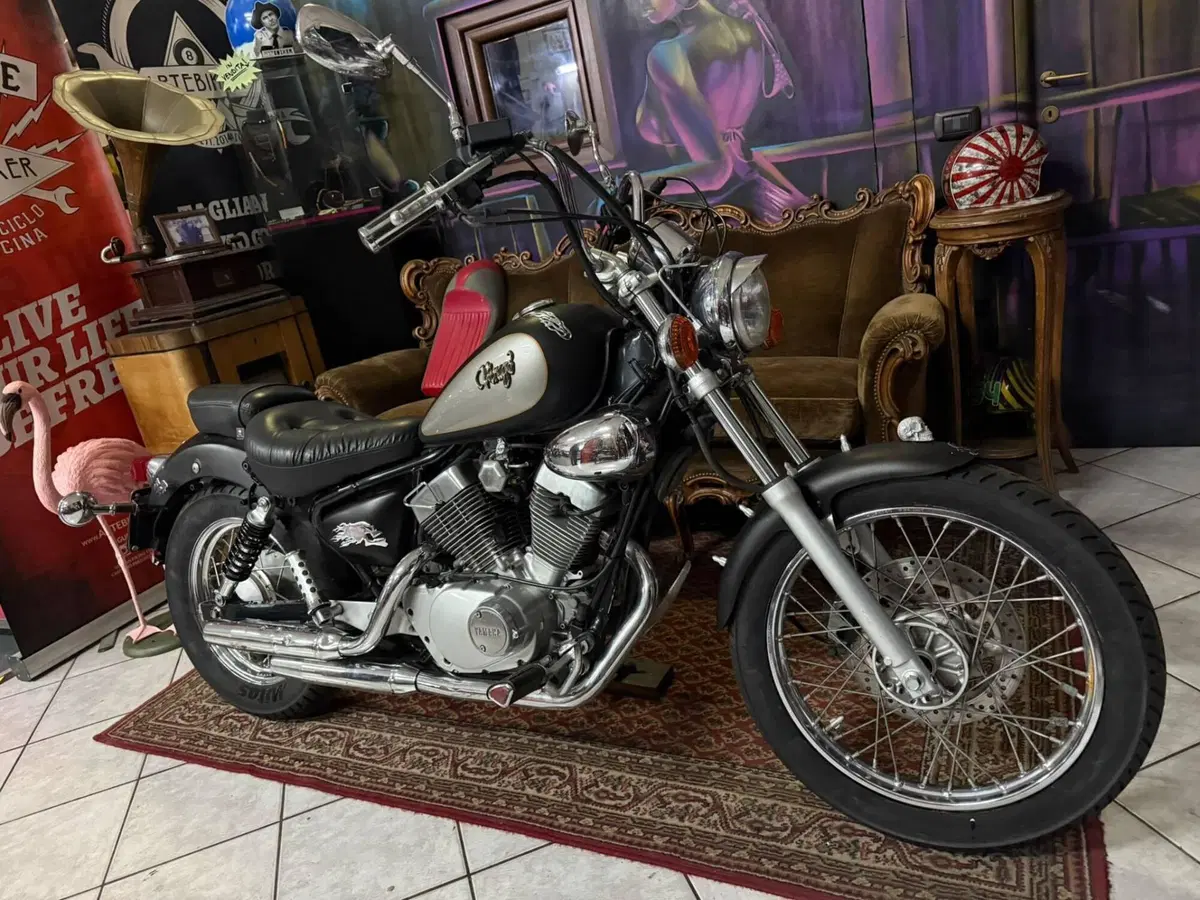 Yamaha XV 250 S Virago (1994 - 01) (4)