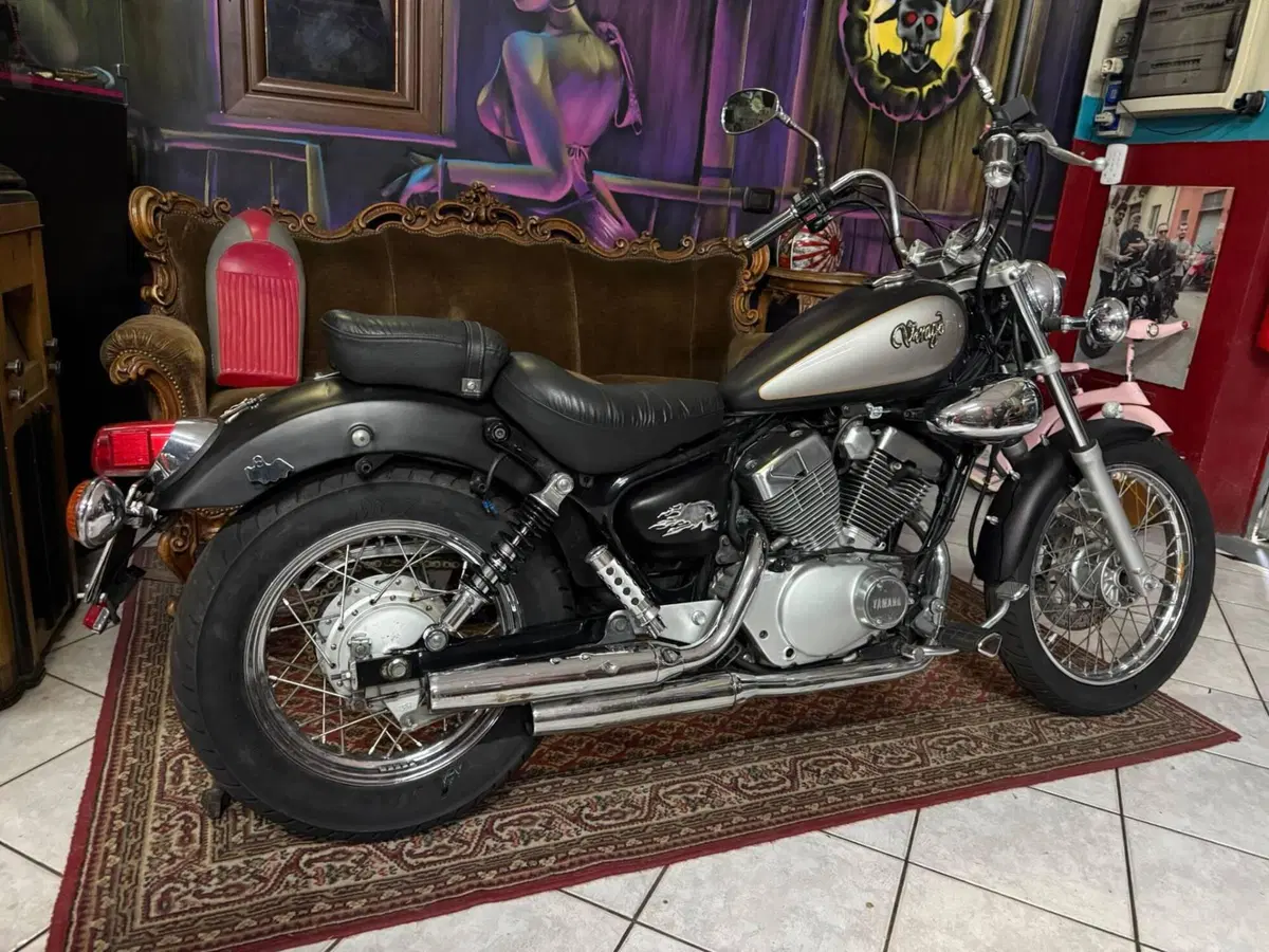 Yamaha XV 250 S Virago (1994 - 01) (5)