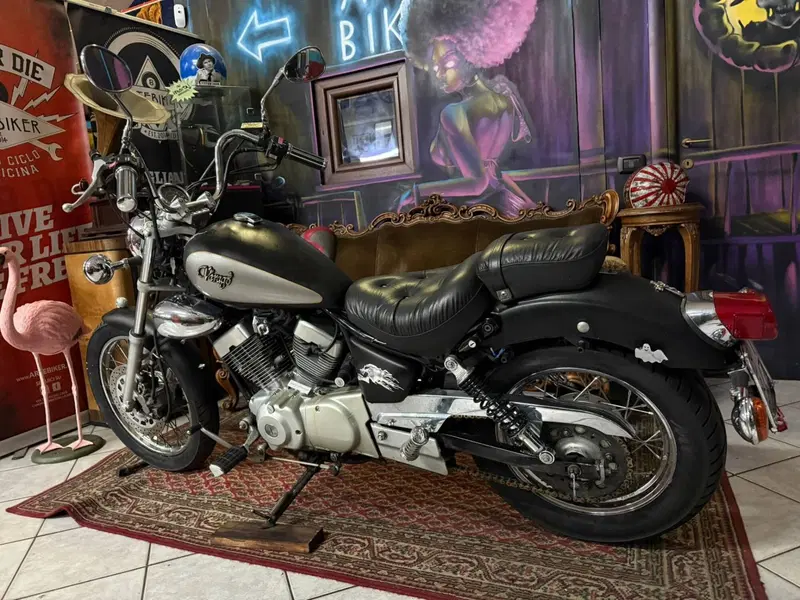 Yamaha XV 250 S Virago (1994 - 01) (6)