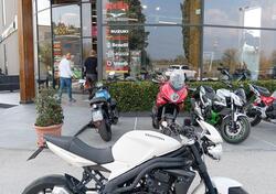 Triumph Speed Triple 1050 (2011 - 13) usata