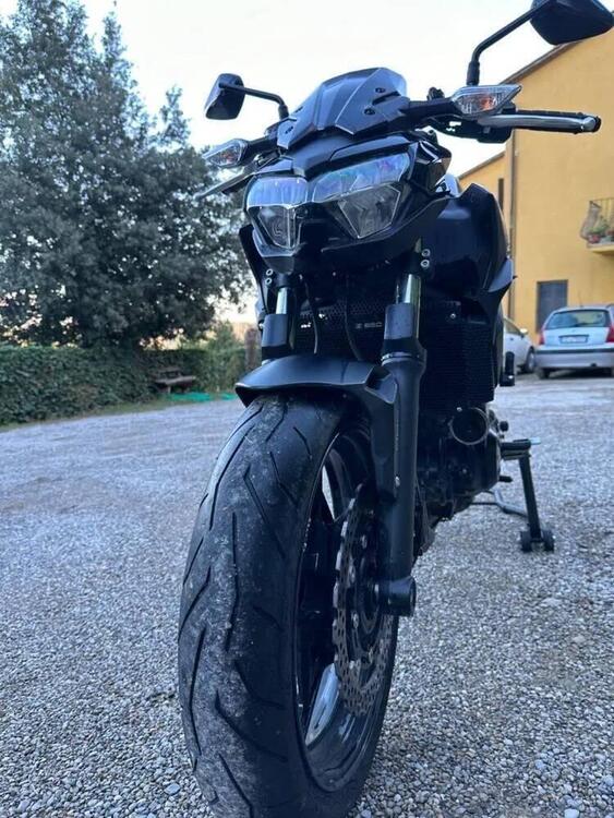 Kawasaki Z 650 (2021 - 24)