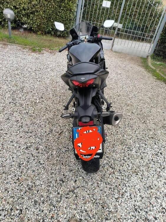 Yamaha YZF R3 (2021 - 24) (3)