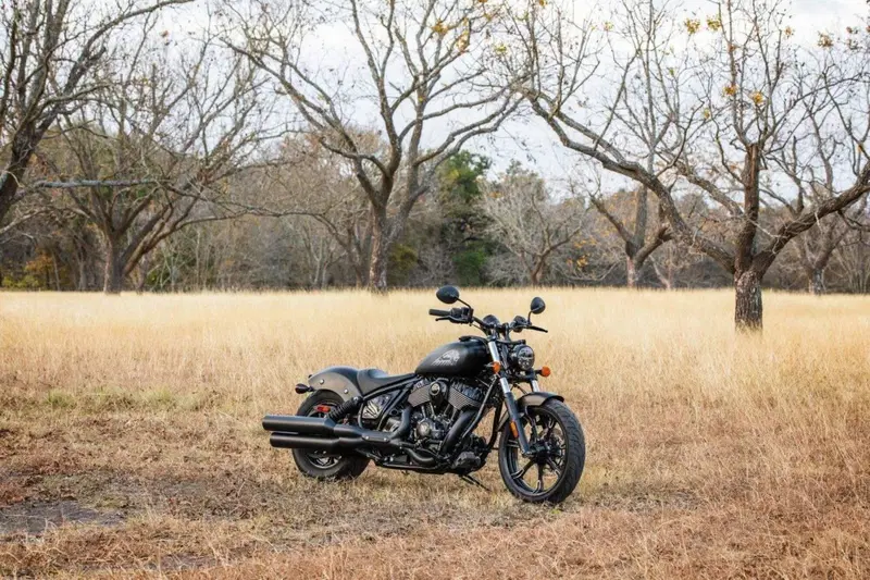 Indian Chief 1890 Dark Horse (2021 - 26) (11)