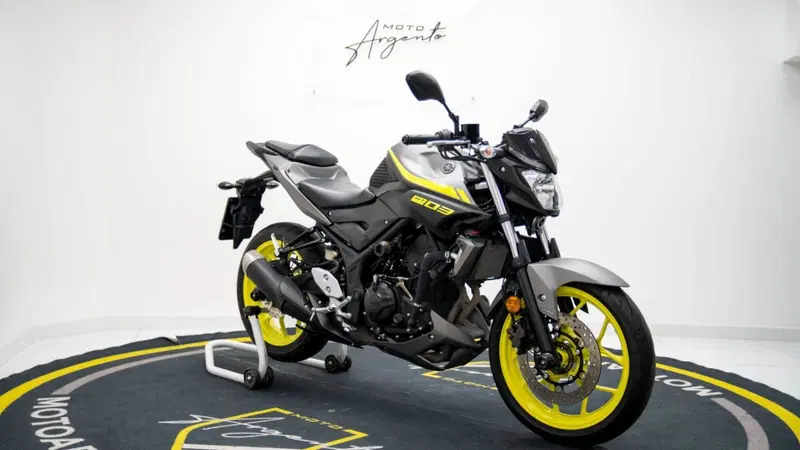 Yamaha MT-03 (2018 - 19) (10)
