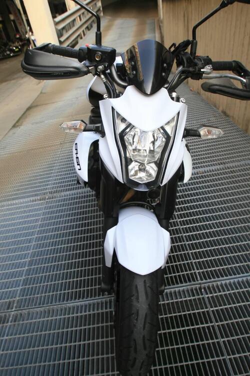 Kawasaki ER-6N (2012 - 13) (2)