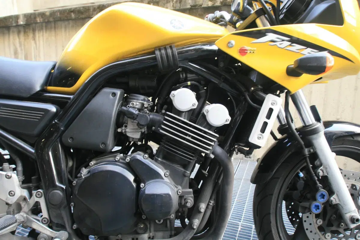 Yamaha FZS 600 Fazer (2002 - 03) (5)
