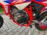 Betamotor RR 125 4T Enduro R (2024 - 25) (9)