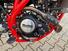 Betamotor RR 125 4T Enduro R (2024 - 25) (12)