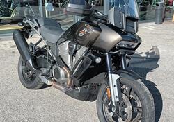 Harley-Davidson Pan America 1250 (2020 - 25) usata