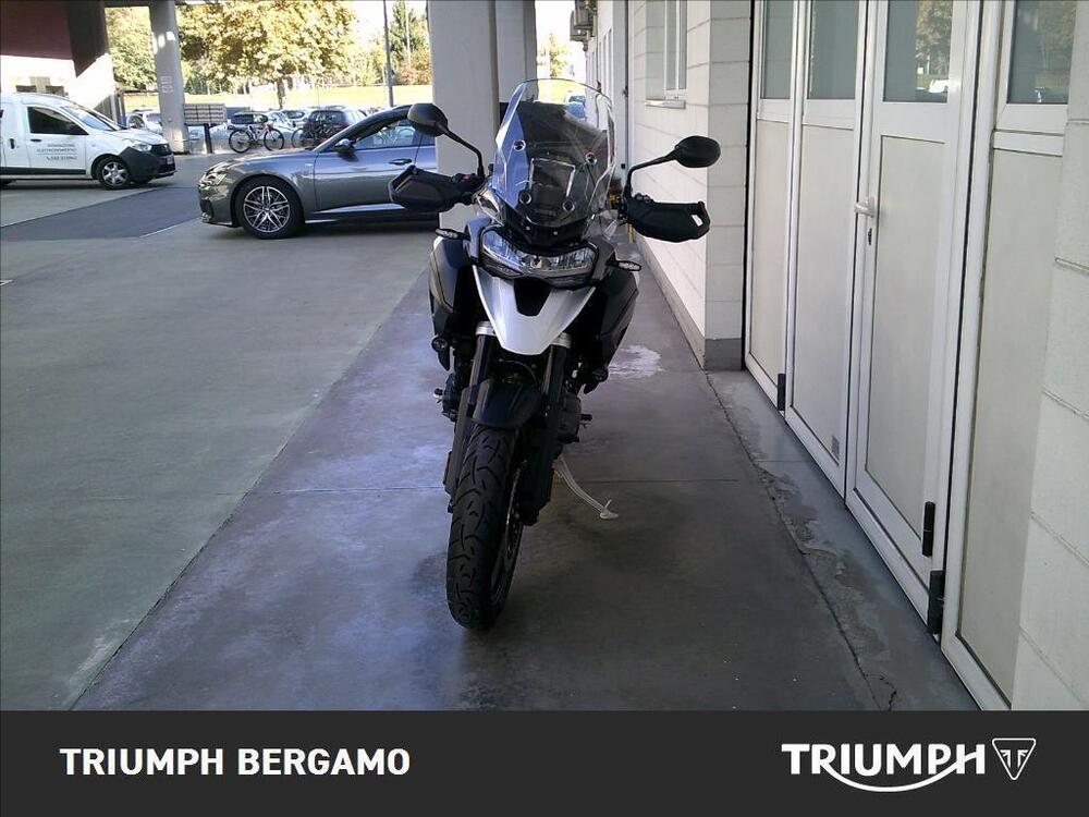 Triumph Tiger 1200 GT Pro (2024 - 25) (5)