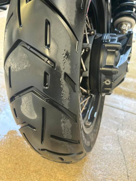 Moto Guzzi V85 TT Evocative Graphics (2021 - 23) (5)