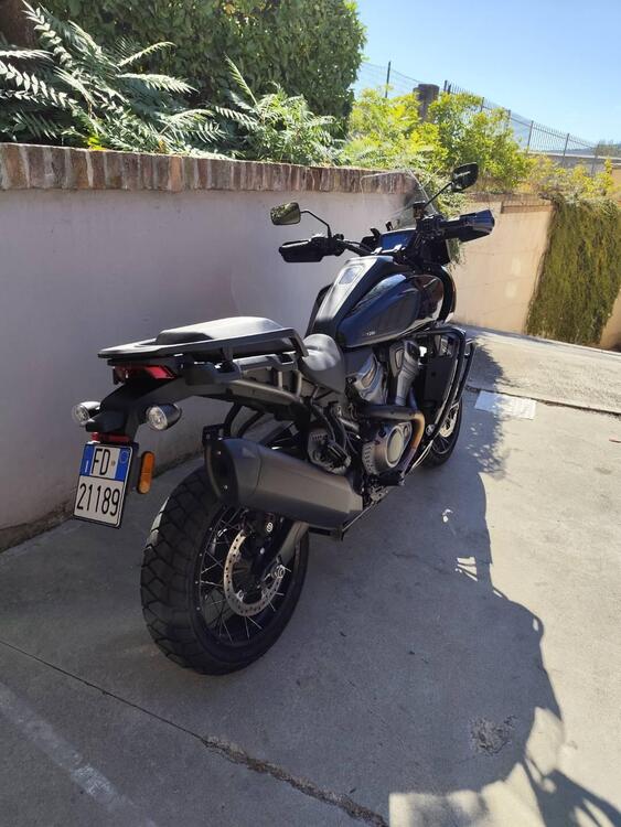 Harley-Davidson Pan America 1250 Special (2020 - 25) (4)