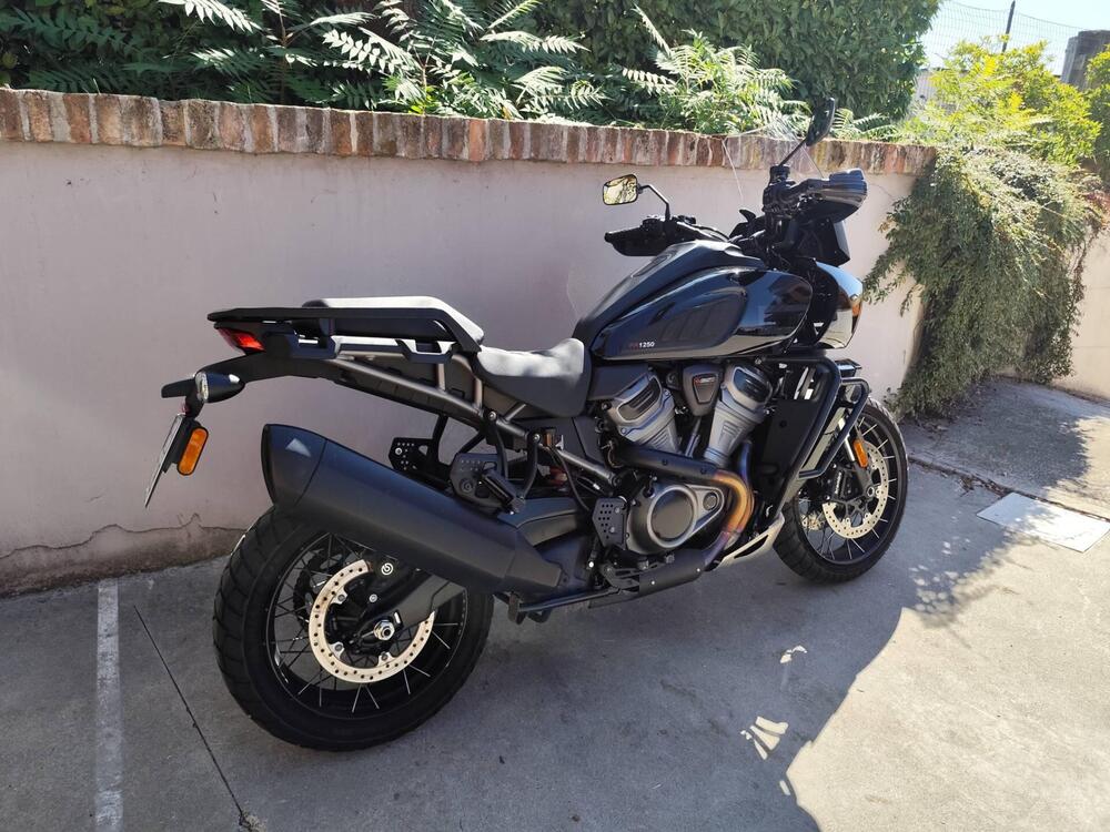 Harley-Davidson Pan America 1250 Special (2020 - 25) (5)