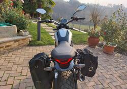 Ducati Scrambler 800 Icon (2023 - 25) usata