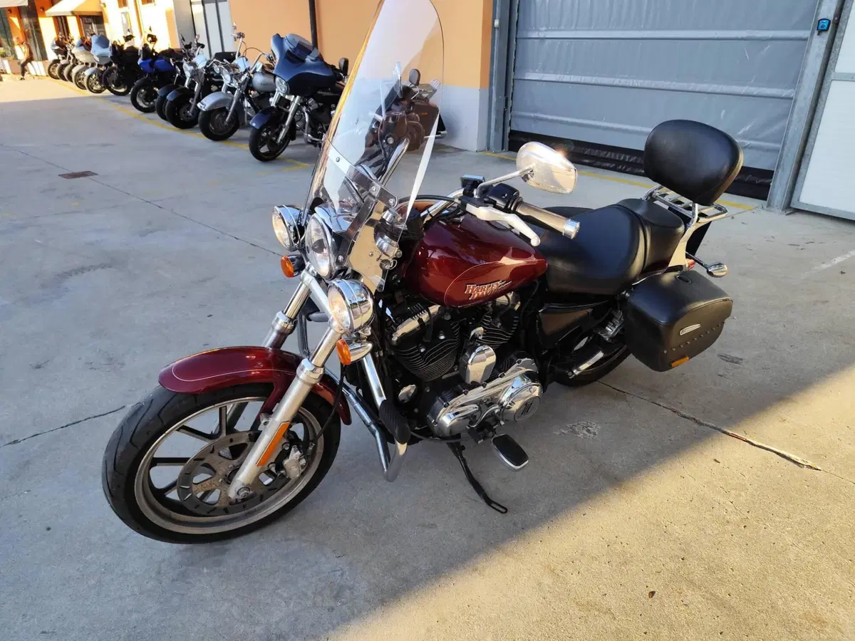 Harley-Davidson 1200 SuperLow (2014 - 16) - XL 1200T (2)