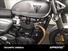 Triumph Street Twin EC1 Special Edition (2022 - 23) (11)
