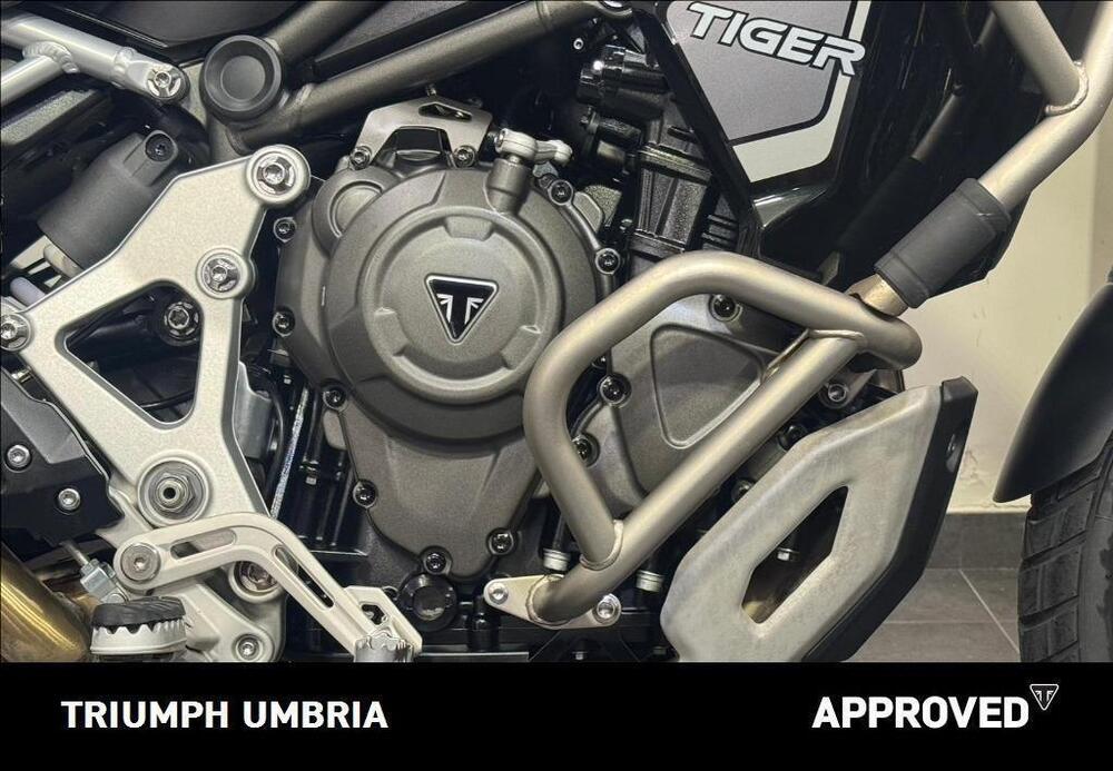 Triumph Tiger 1200 Rally Explorer (2022 - 23) (5)
