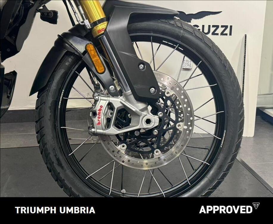 Triumph Tiger 1200 Rally Explorer (2022 - 23) (4)