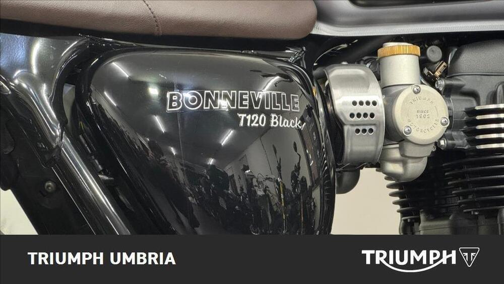 Triumph Bonneville T120 (2021 - 25) (5)