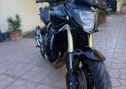 Honda Hornet 600 (2007 - 10) usata