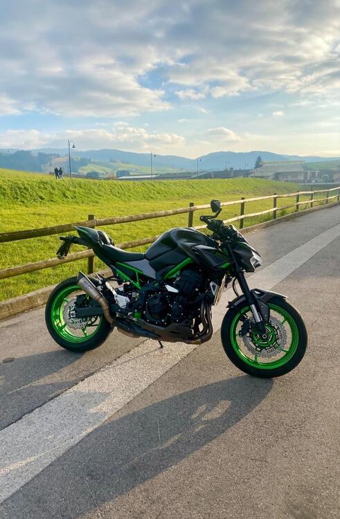 Kawasaki Z 900 (2021 - 24)