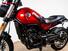 Benelli Leoncino 500 Trail (2021 - 25) (9)