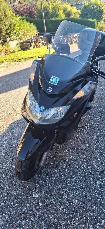 Yamaha Majesty 400 (2009 - 14) (2)