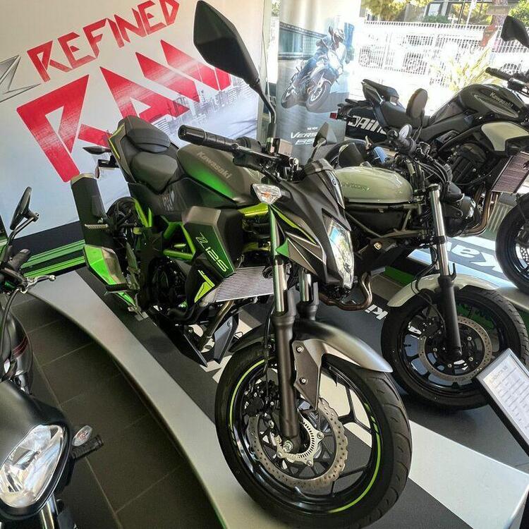 Kawasaki Z 125 (2021 - 24) (2)