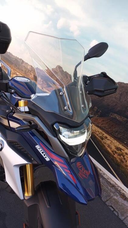 Bmw G 310 GS (2021 - 25) (2)