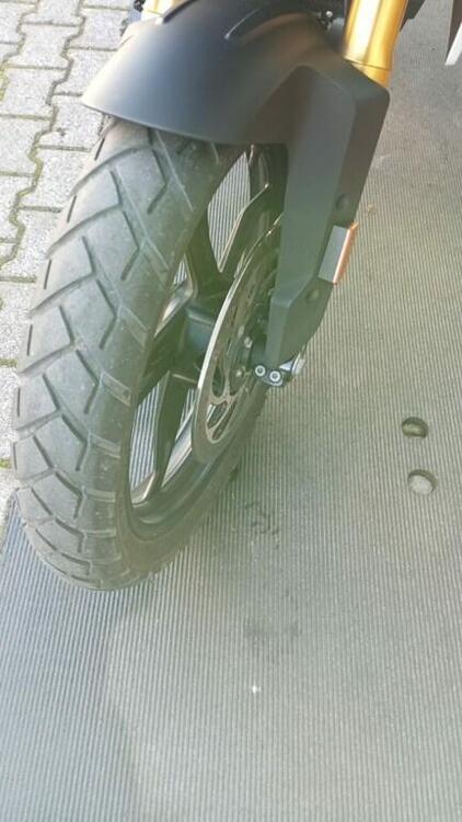 Bmw G 310 GS (2021 - 25) (5)