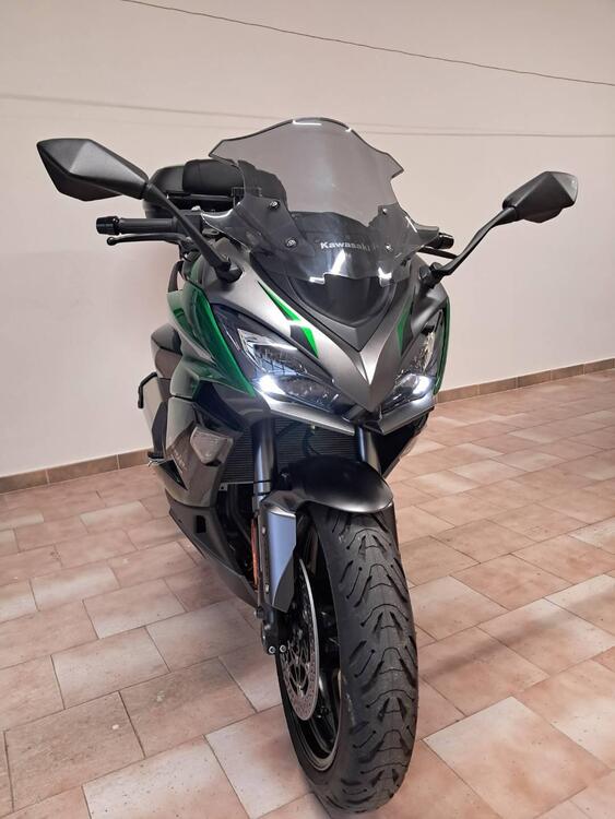 Kawasaki Ninja 1000 SX (2021 - 24) (4)