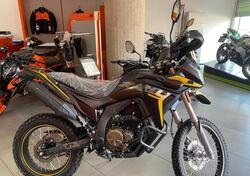 Voge Valico 300 Rally (2022 - 25) nuova