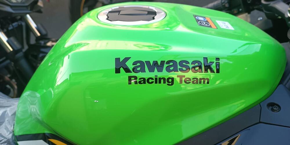 Kawasaki Ninja ZX-4RR (2024 - 26) (3)