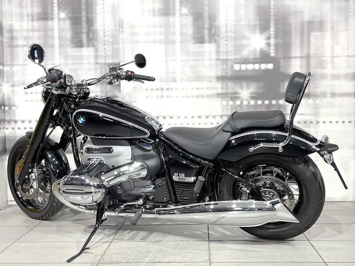 Bmw R 18 (2020 - 24) (2)