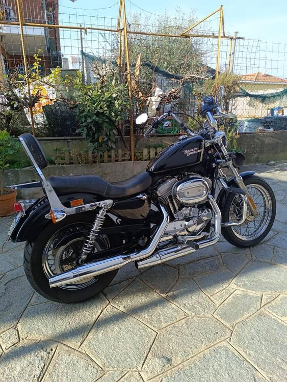 Harley-Davidson 883 (2008 - 09) - XL