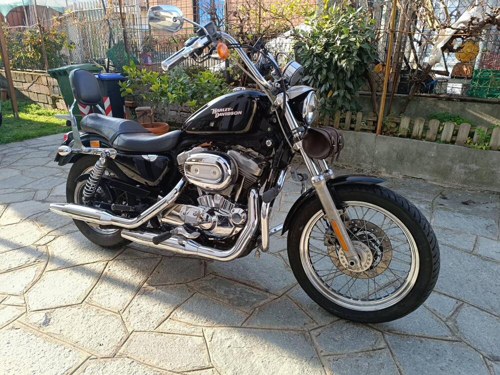 Harley-Davidson 883 (2008 - 09) - XL (2)