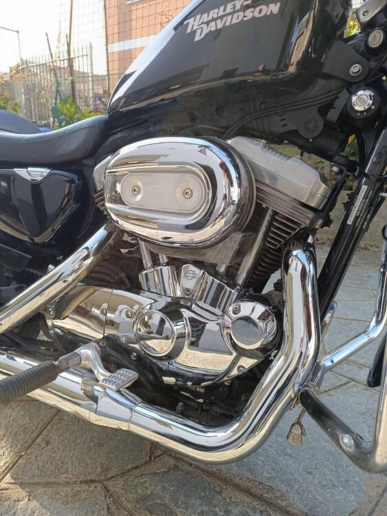 Harley-Davidson 883 (2008 - 09) - XL (3)