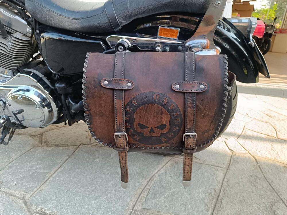 Harley-Davidson 883 (2008 - 09) - XL (5)