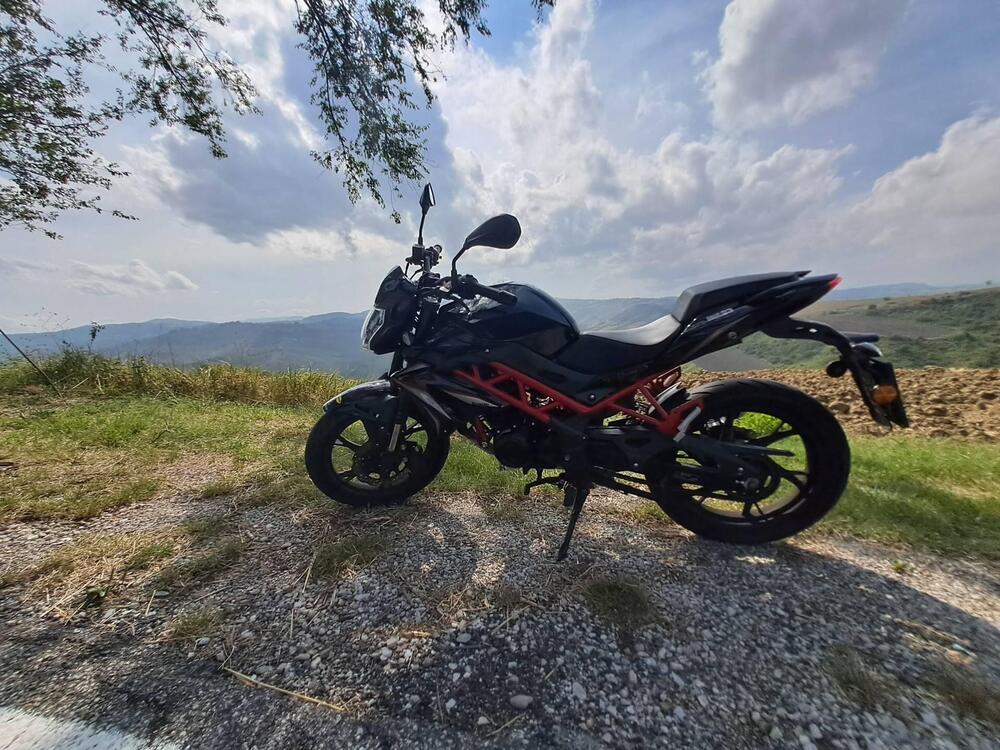 Benelli BN 125 (2021 - 25)