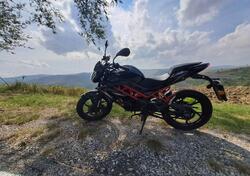 Benelli BN 125 (2021 - 25) usata