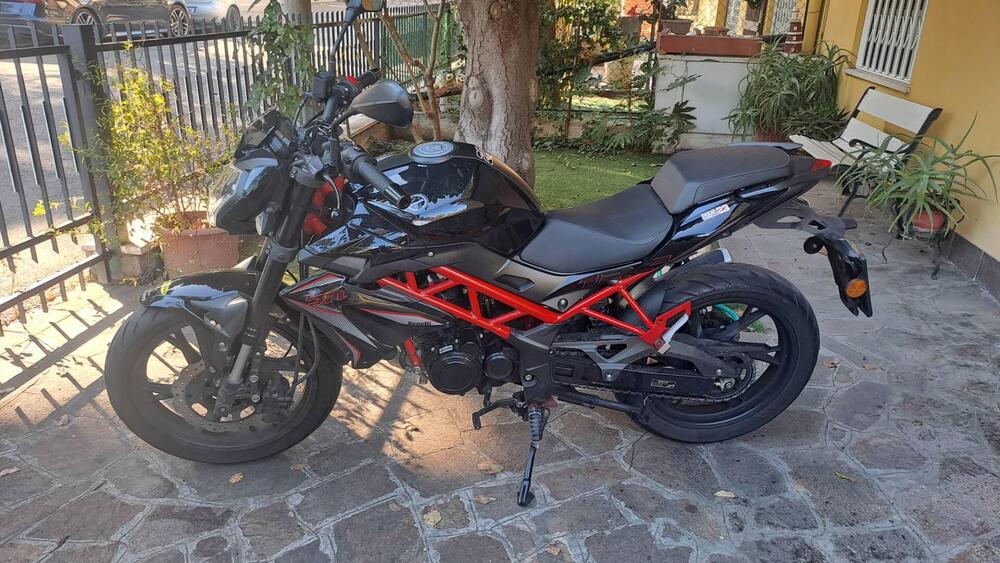 Benelli BN 125 (2021 - 25) (2)